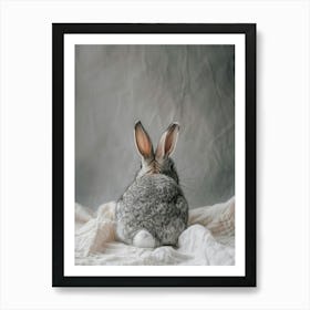 Rabbit Sitting On A Blanket Art Print