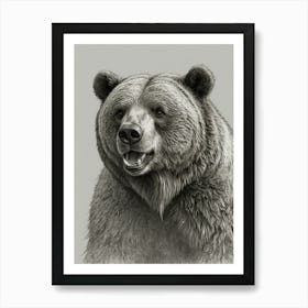 Grizzly Bear Art Print