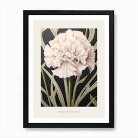 Flower Illustration Carnation Dianthus 2 Poster Art Print