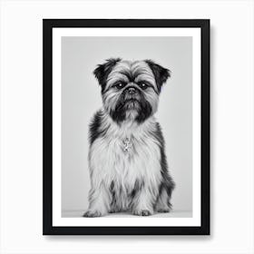 Brussels Griffon B&W Pencil Dog Art Print