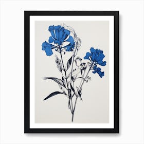 Blue Botanical Kangaroo Paw 3 Art Print