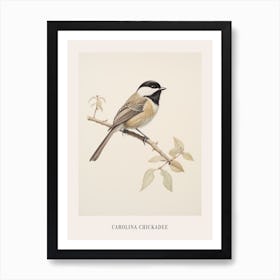 Vintage Bird Drawing Carolina Chickadee 2 Poster Art Print