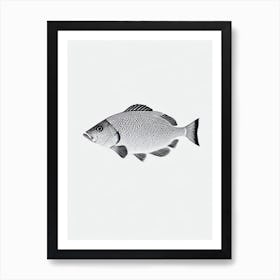 Coral Reef Fish Black & White Drawing Art Print