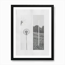 Dandelion Flower Photo Collage 1 Art Print