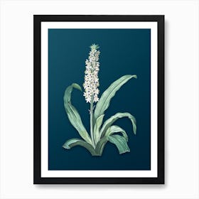 Vintage Eucomis Punctata Botanical Art on Teal Blue n.0970 Art Print