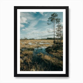 Nature In Swedish Lapland Art Print