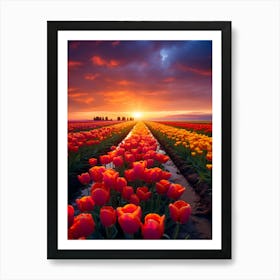 Sunset Over Tulips 1 Art Print