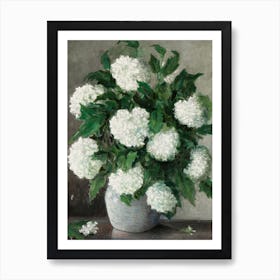 Still Life White Hydrangeas In A Vase Art Print