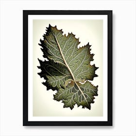 Oak Leaf Vintage Botanical 1 Art Print