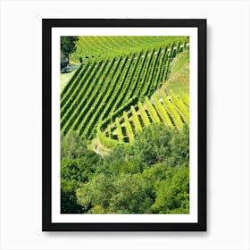 Vineyards In Andorra 20210826 229ppub Art Print