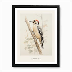 Vintage Bird Drawing Woodpecker 2 Poster Art Print