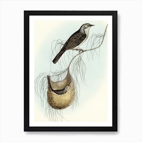 Bird On Nest by Elizabeth Gould Art Print