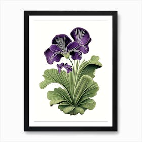 Marsh Violet Wildflower Vintage Botanical 2 Art Print