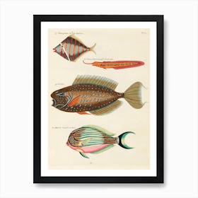 Colourful And Surreal Illustrations Of Fishes Found In Moluccas (Indonesia) And The East Indies, Louis Renard(63) Art Print