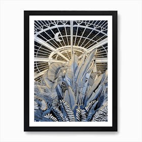 Kew Gardens Moonlight Palms Art Print