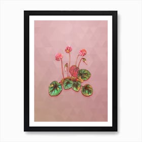 Vintage Shore Cyclamen Flower Botanical Art on Crystal Rose n.1820 Art Print