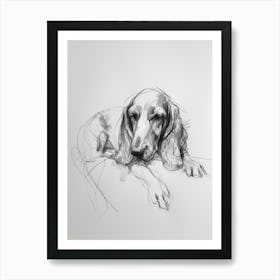 Basset Hound Dog Charcoal Line 1 Art Print