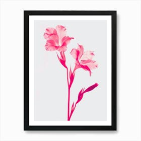 Hot Pink Gladiolus 2 Art Print