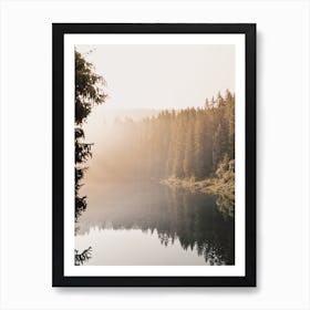 Forest Lake Art Print