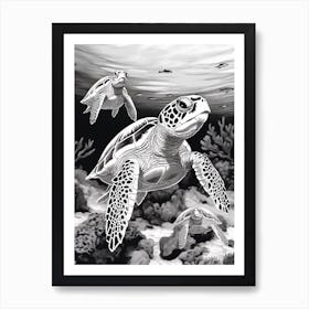 Black And White Detailed Sea Turtles Illustration Art Print
