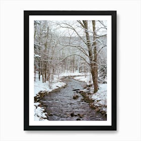 Upstate New York Snow XII on Film Art Print