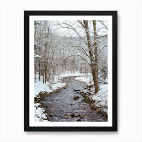 Upstate New York Snow Xii Art Print