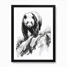 Giant Panda Walking On A Mountain Ink Illustration 4 Art Print
