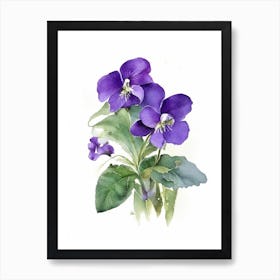 Violets Wildflower Watercolour 1 Art Print