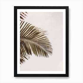 Palm Leaf Art Print