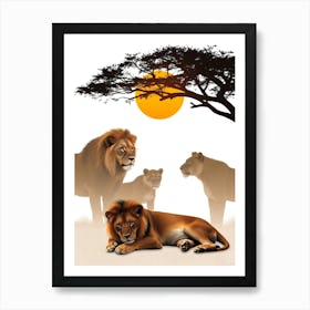 Lions Relax In The Sun Affiche