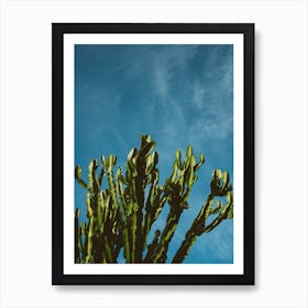 Cactus Sky Art Print