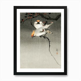 Bohemian Waxwing Birds (1900 1930), Ohara Koson Art Print