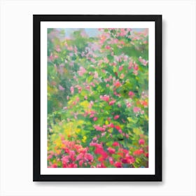 Himalayan Honeysuckle Impressionist Painting Poster