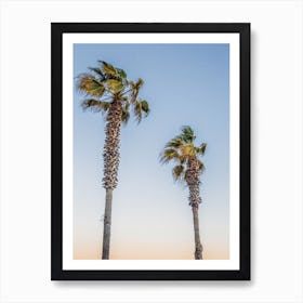 Barcelona Palm Trees Art Print