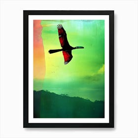 Toucan In Flight Art Print