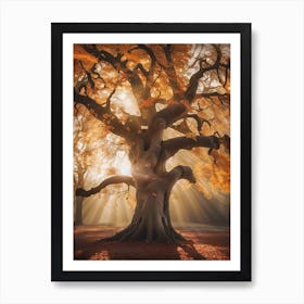 Ancient Tree Art Print