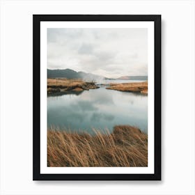 Iceland Pond Art Print