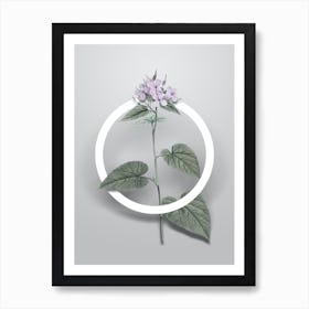 Vintage Morning Glory Flower Minimalist Botanical Geometric Circle on Soft Gray n.0562 Art Print