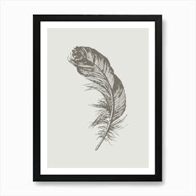 Grey Feather Print 6 Art Print