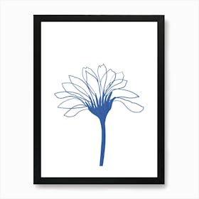 Chrysanthemum 5 Art Print