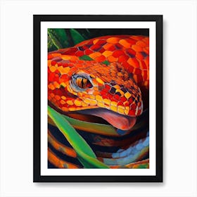 Red Tailed Boa Snake Painting Art Print