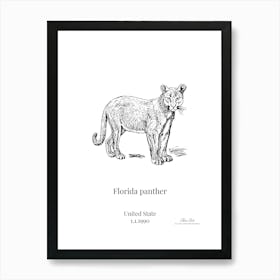 Florida Panther 1 Art Print