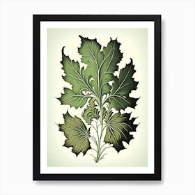 Skullcap Leaf Vintage Botanical 3 Art Print