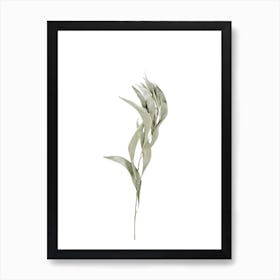 Dried Plant Art Print