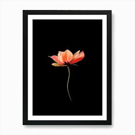 Lotus Flower On Black Background Art Print