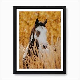 Horse In Wheat Field Art Print