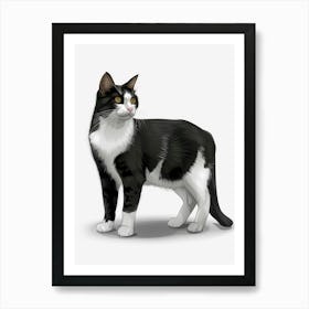 Black And White Cat 8 Art Print