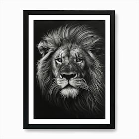 African Lion Charcoal Drawing Portrait Close Up 2 Art Print