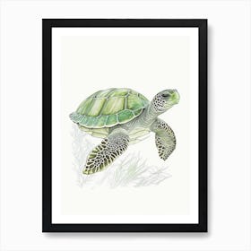 Flatback Sea Turtle (Natator Depressus), Sea Turtle Quentin Blake Illustration 1 Art Print