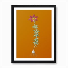 Vintage Wood Lily Botanical on Sunset Orange n.0868 Art Print